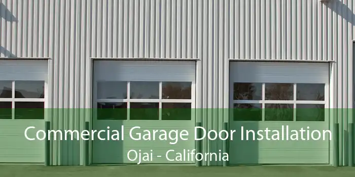 Commercial Garage Door Installation Ojai - California