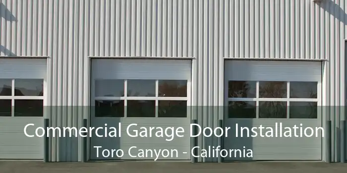 Commercial Garage Door Installation Toro Canyon - California