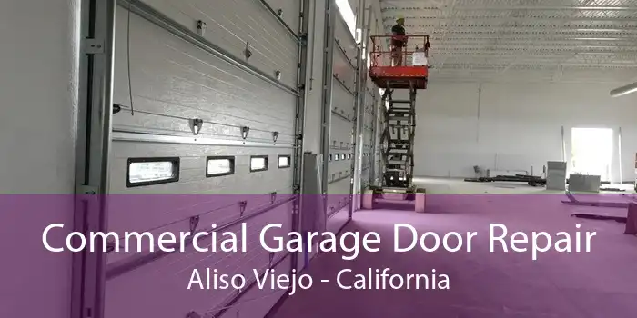 Commercial Garage Door Repair Aliso Viejo - California