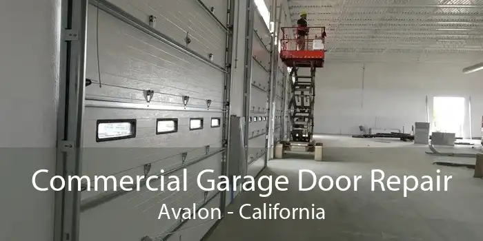 Commercial Garage Door Repair Avalon - California