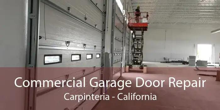 Commercial Garage Door Repair Carpinteria - California