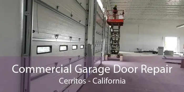 Commercial Garage Door Repair Cerritos - California