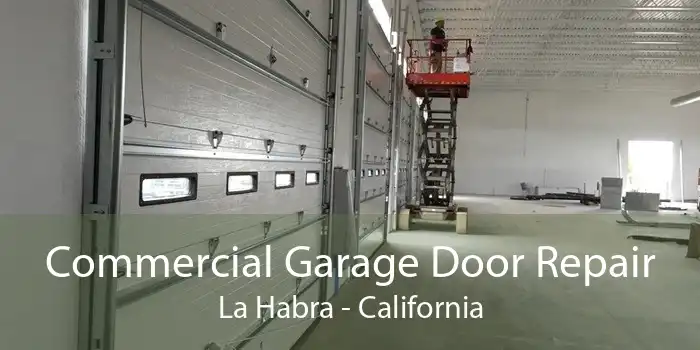 Commercial Garage Door Repair La Habra - California