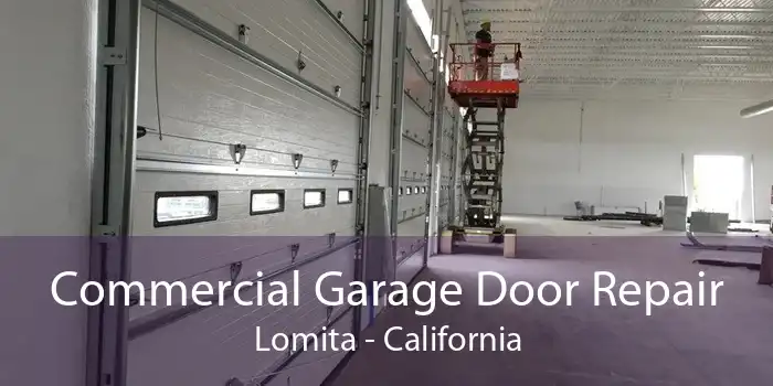 Commercial Garage Door Repair Lomita - California