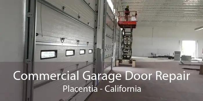 Commercial Garage Door Repair Placentia - California