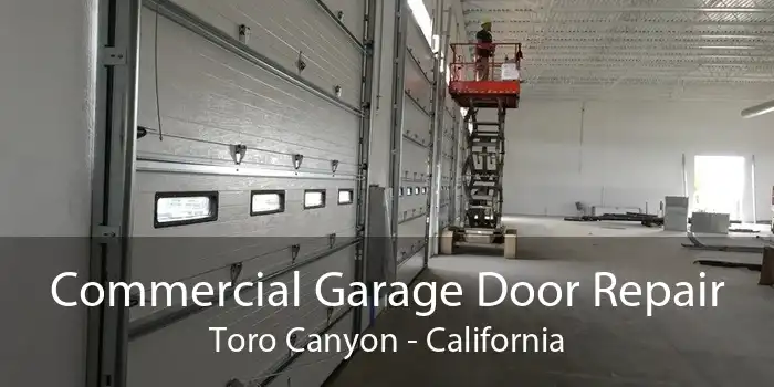 Commercial Garage Door Repair Toro Canyon - California