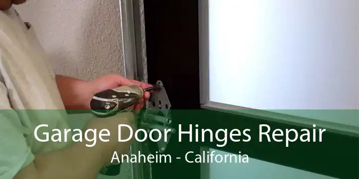 Garage Door Hinges Repair Anaheim - California