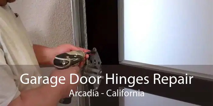 Garage Door Hinges Repair Arcadia - California