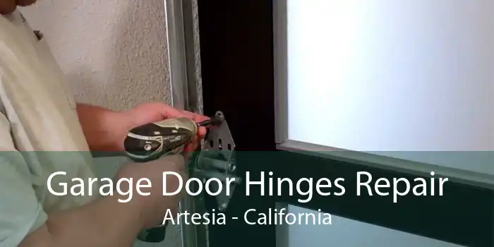 Garage Door Hinges Repair Artesia - California