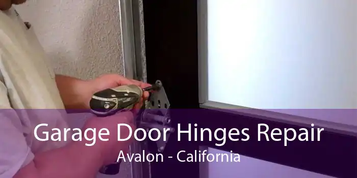 Garage Door Hinges Repair Avalon - California