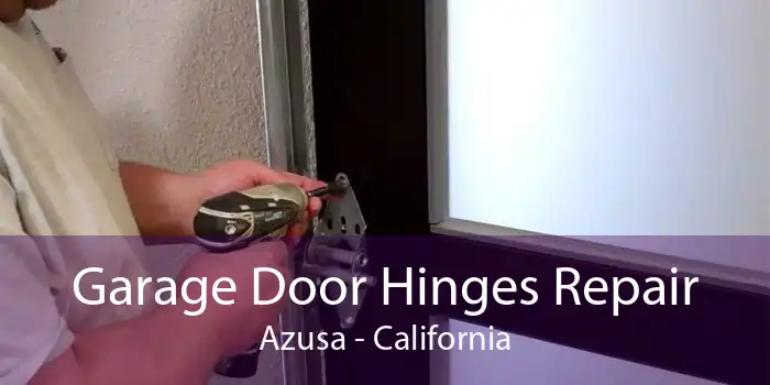 Garage Door Hinges Repair Azusa - California