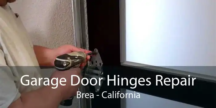 Garage Door Hinges Repair Brea - California