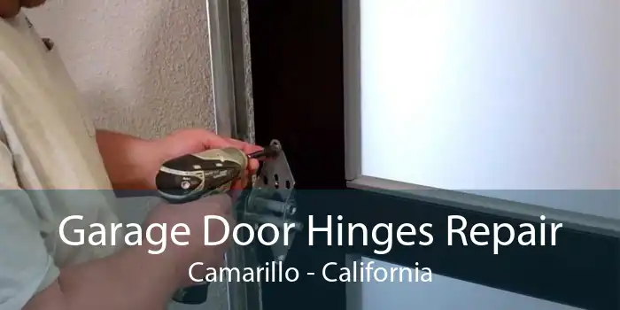 Garage Door Hinges Repair Camarillo - California