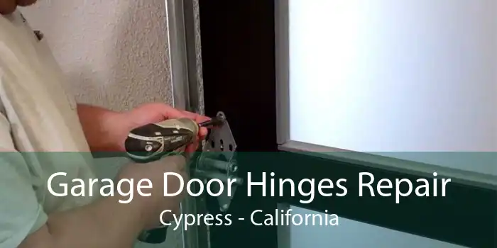 Garage Door Hinges Repair Cypress - California