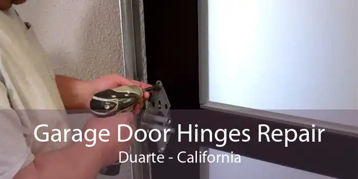 Garage Door Hinges Repair Duarte - California