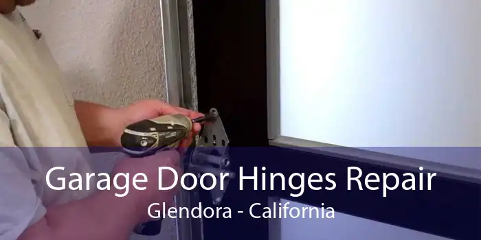 Garage Door Hinges Repair Glendora - California