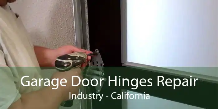 Garage Door Hinges Repair Industry - California