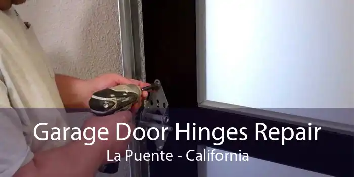 Garage Door Hinges Repair La Puente - California