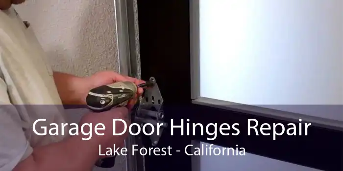 Garage Door Hinges Repair Lake Forest - California