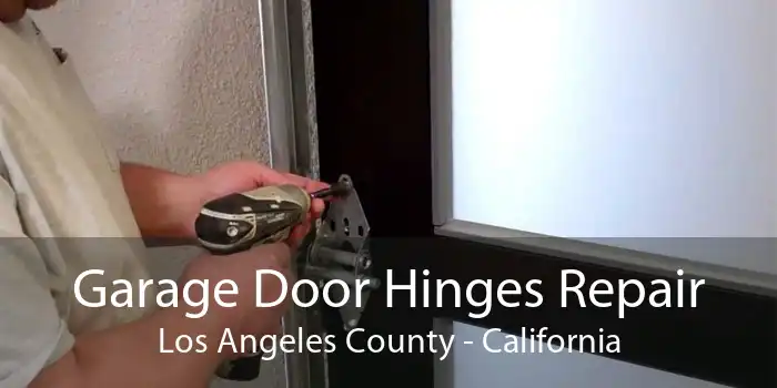 Garage Door Hinges Repair Los Angeles County - California