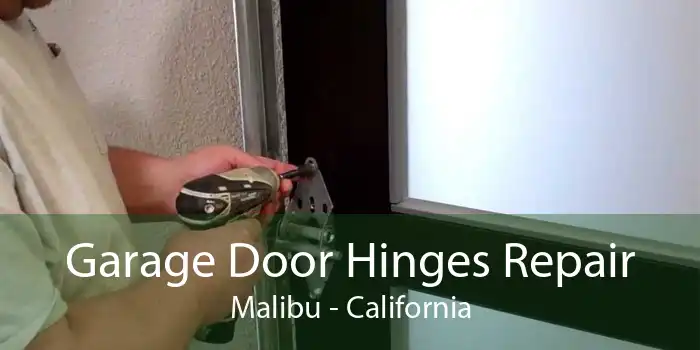 Garage Door Hinges Repair Malibu - California