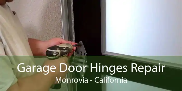 Garage Door Hinges Repair Monrovia - California