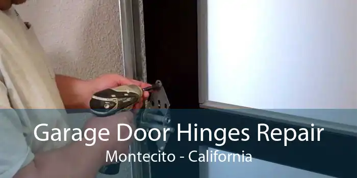 Garage Door Hinges Repair Montecito - California