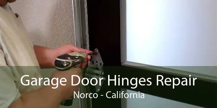 Garage Door Hinges Repair Norco - California