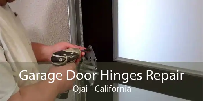 Garage Door Hinges Repair Ojai - California