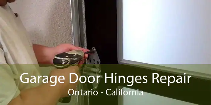 Garage Door Hinges Repair Ontario - California