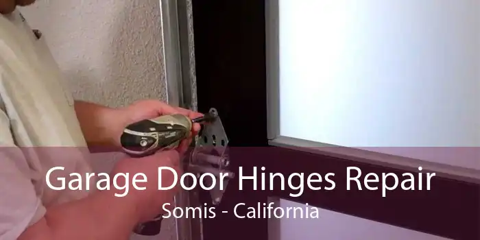 Garage Door Hinges Repair Somis - California