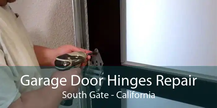 Garage Door Hinges Repair South Gate - California