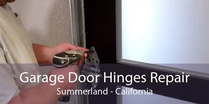 Garage Door Hinges Repair Summerland - California