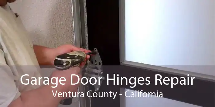 Garage Door Hinges Repair Ventura County - California