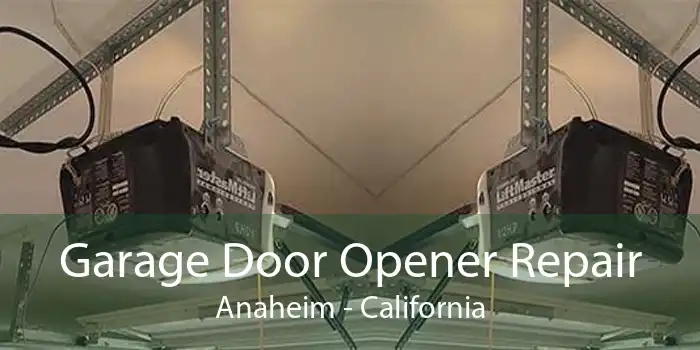 Garage Door Opener Repair Anaheim - California