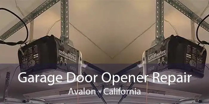 Garage Door Opener Repair Avalon - California