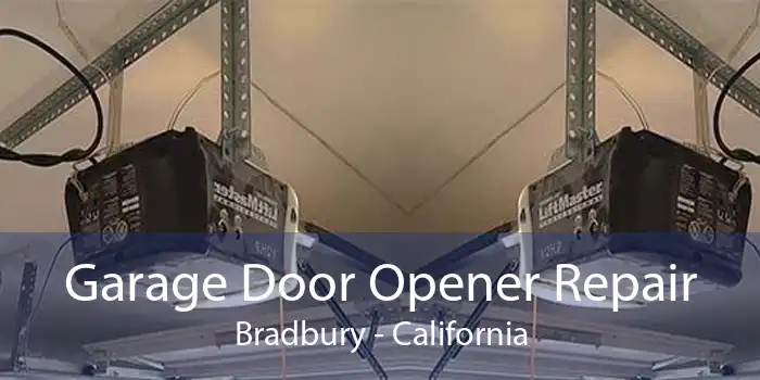 Garage Door Opener Repair Bradbury - California