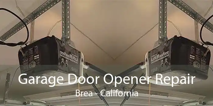 Garage Door Opener Repair Brea - California