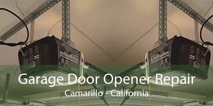 Garage Door Opener Repair Camarillo - California