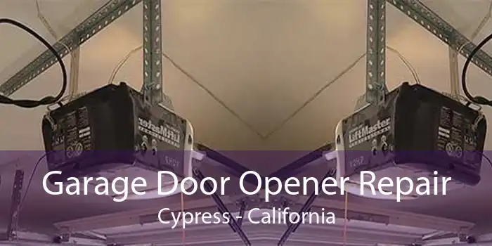 Garage Door Opener Repair Cypress - California