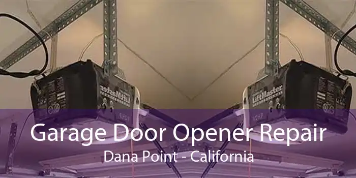 Garage Door Opener Repair Dana Point - California