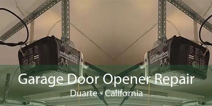 Garage Door Opener Repair Duarte - California