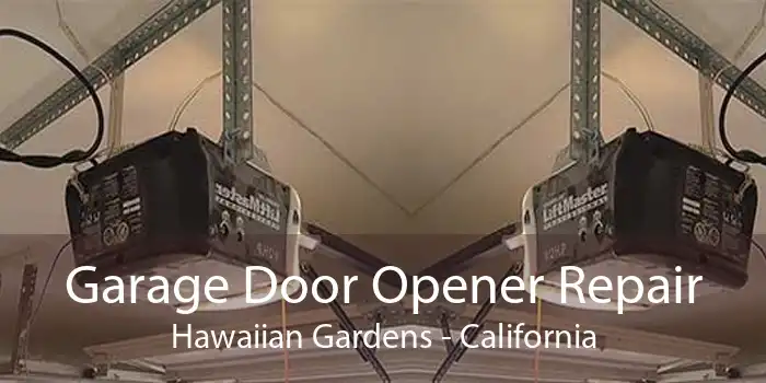 Garage Door Opener Repair Hawaiian Gardens - California