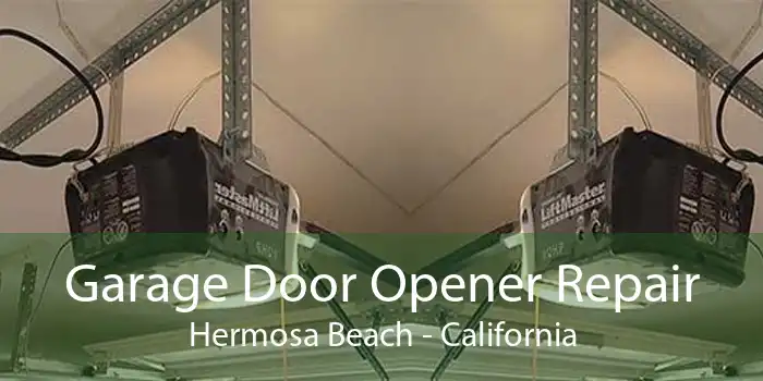 Garage Door Opener Repair Hermosa Beach - California