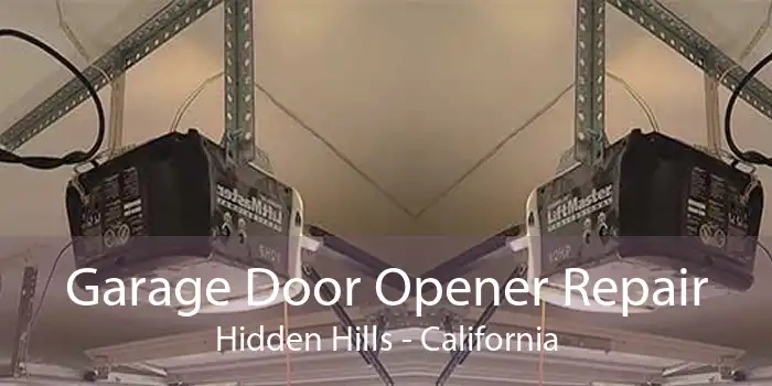 Garage Door Opener Repair Hidden Hills - California