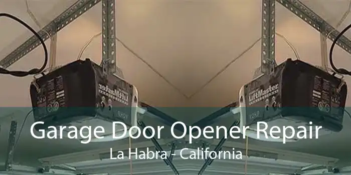 Garage Door Opener Repair La Habra - California