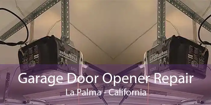 Garage Door Opener Repair La Palma - California