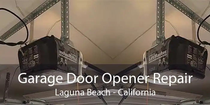 Garage Door Opener Repair Laguna Beach - California