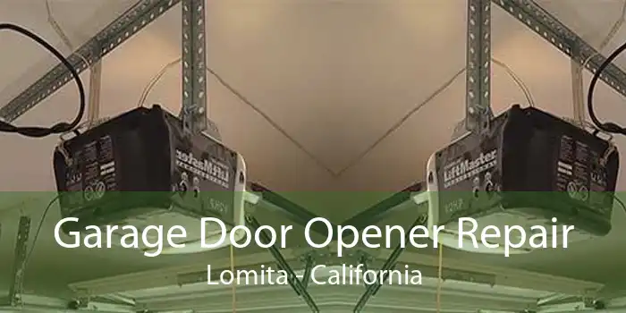 Garage Door Opener Repair Lomita - California