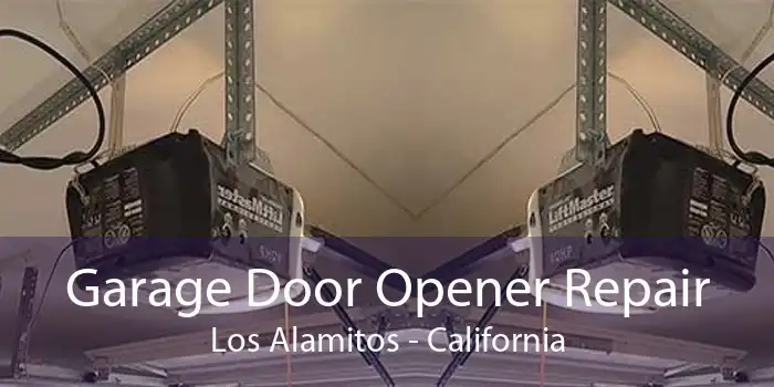 Garage Door Opener Repair Los Alamitos - California